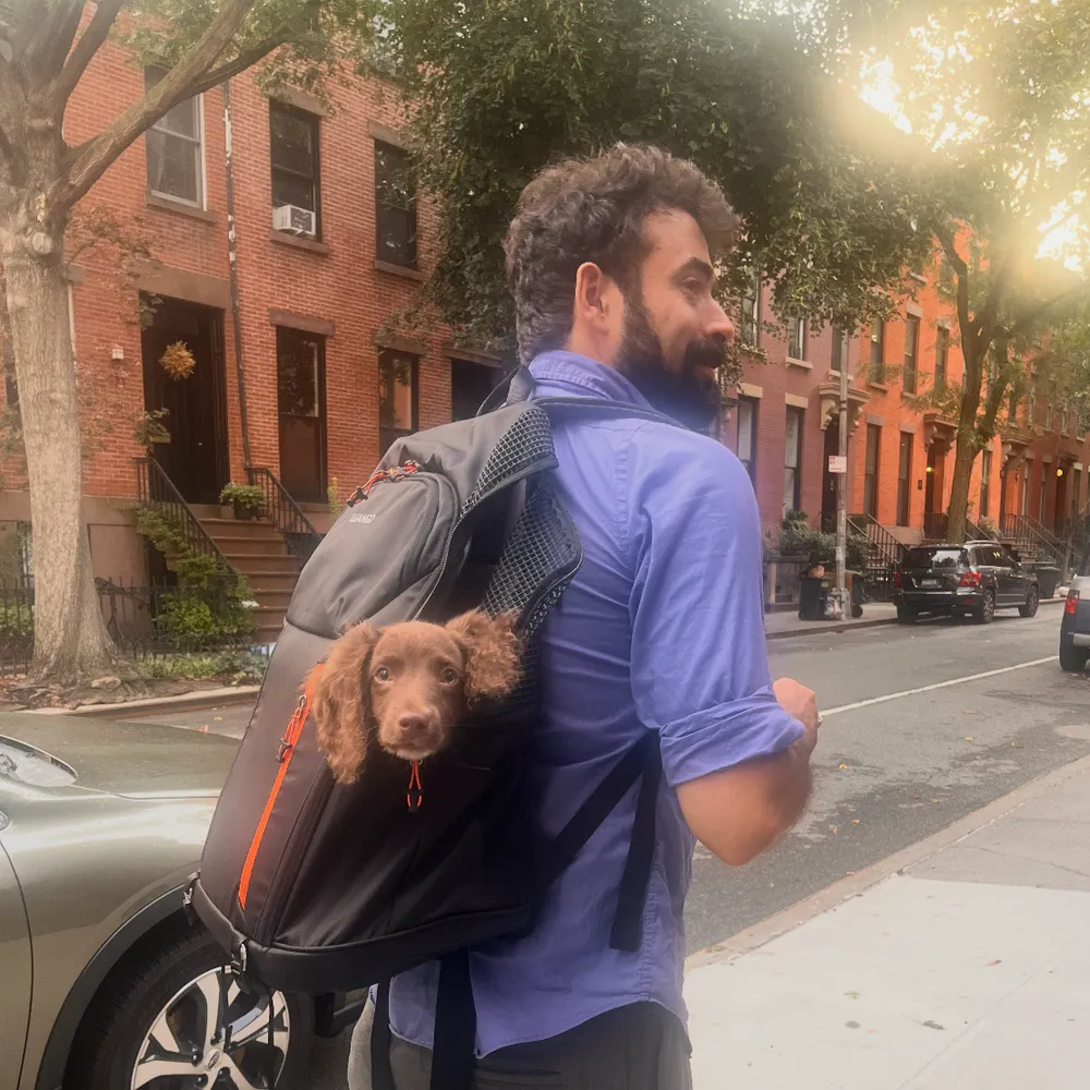 Max on a city street with a puppy riding in a backpack